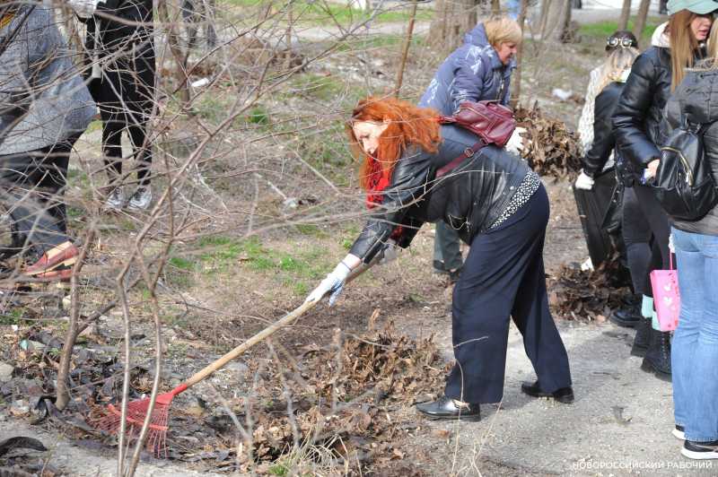Завтра в Новороссийске пройдут субботники. Как присоединиться