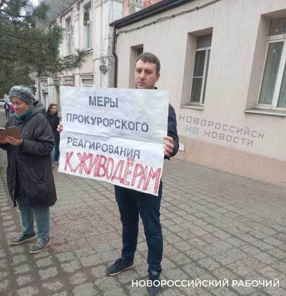 Жители Новороссийска у прокуратуры требовали свободу кошкам