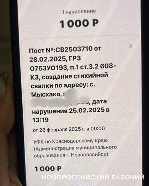 Жительнице Новороссийска пришел штраф за «стихийную свалку», которую устроил ее родственник