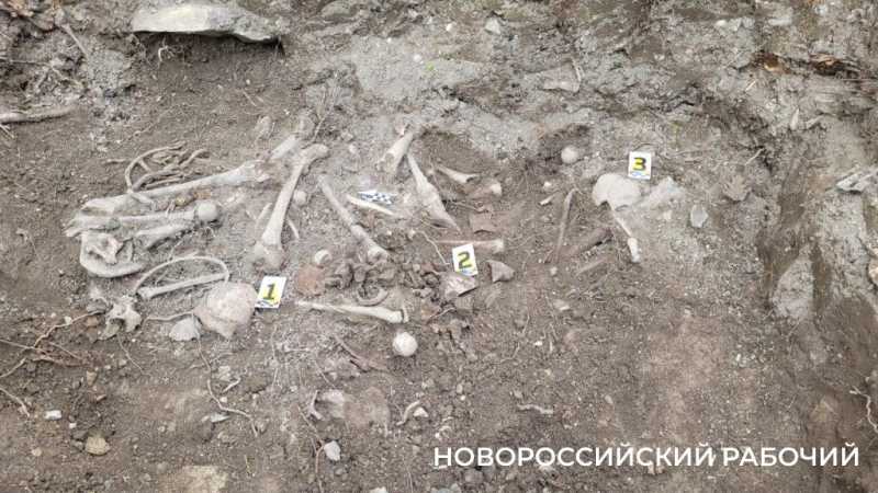 78 расстрелянных в годы войны мирных жителей перезахоронили в Новороссийске