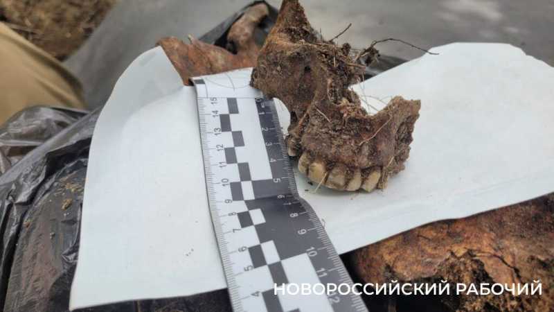 78 расстрелянных в годы войны мирных жителей перезахоронили в Новороссийске