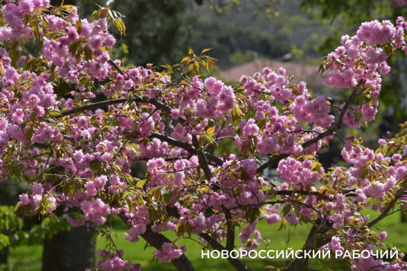 Абрау-Дюрсо в ожидании начала сезона. Фоторепортаж «НР»