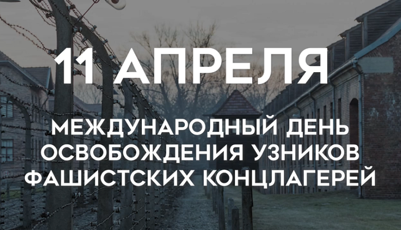 Андрей Кравченко: Наш долг – бороться с любыми проявлениями расизма и нетерпимости