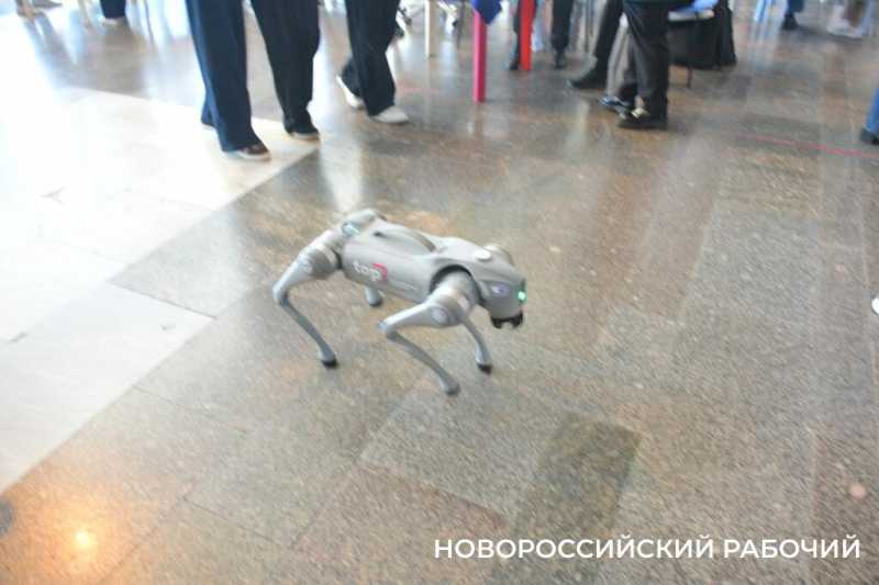 Где в Новороссийске можно заработать до 100 тысяч в месяц