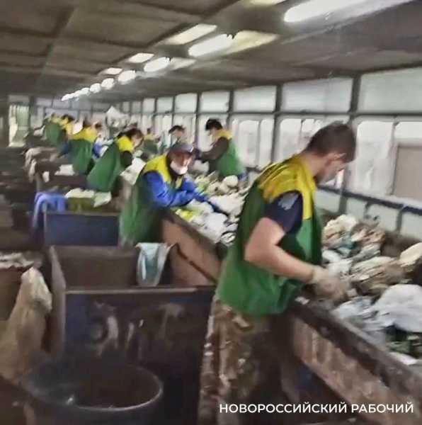 Горожане не поверили, что в Новороссийске заработала сортировка мусора. Где правда?