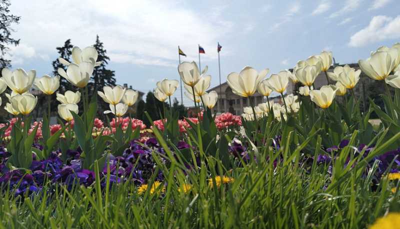 Информация о качестве атмосферного воздуха в городе Новороссийске за период наблюдений 11 – 12 апреля