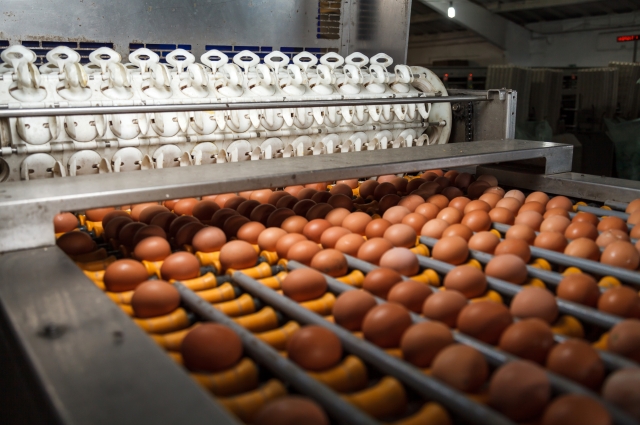 Из Новороссийска с любовью: качественные продукты для Черноморского побережья