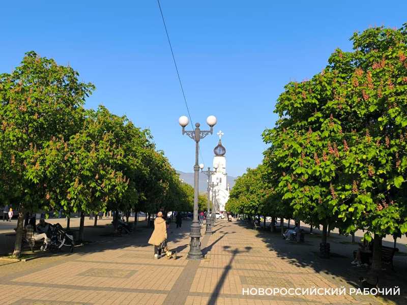 Мы в Новороссийске мерзнем из-за арктического вторжения