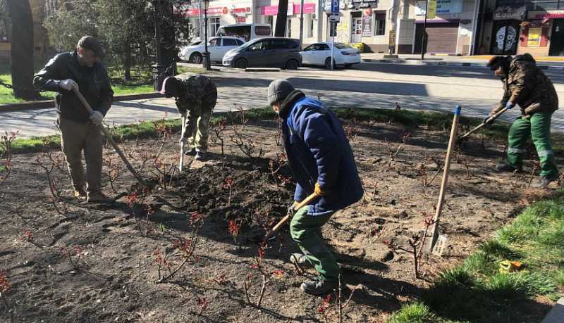 На цветниках и зеленых зонах Новороссийска проводятся сезонные работы