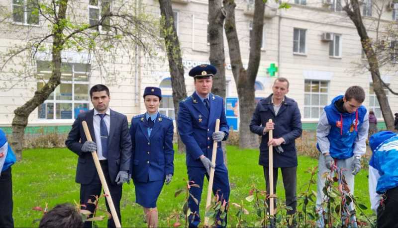 На площади Героев в Новороссийске высадили молодые деревья и кустарники в рамках акции «Сад памяти»   