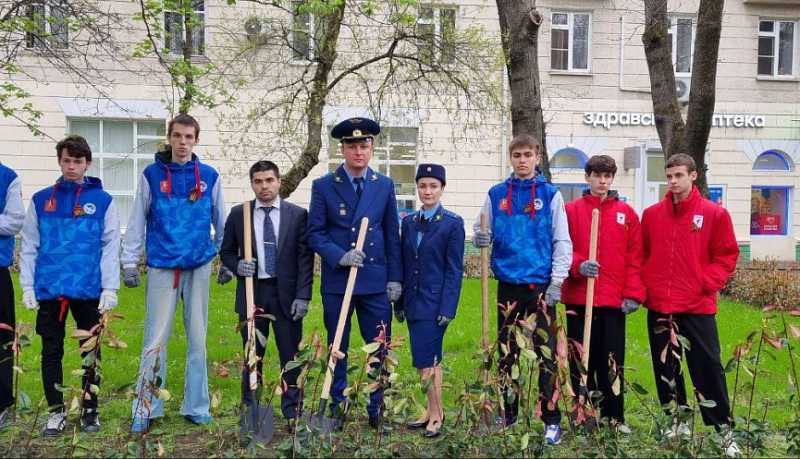 На площади Героев в Новороссийске высадили молодые деревья и кустарники в рамках акции «Сад памяти»   