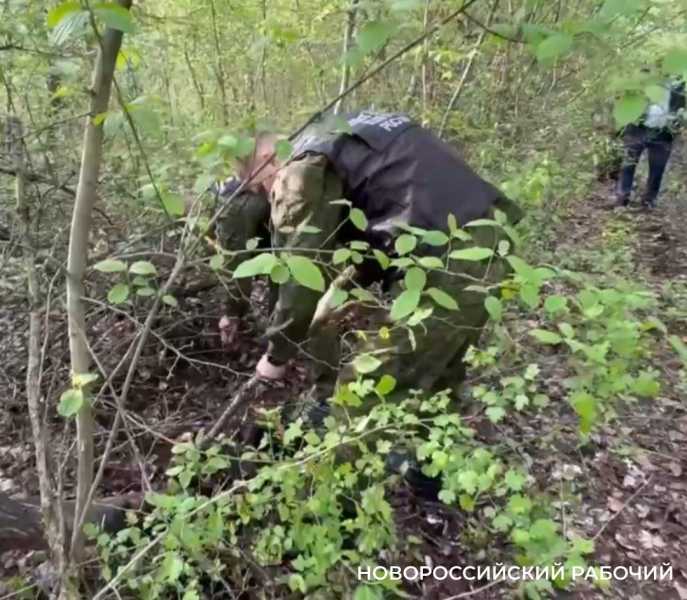 &laquo;Не надо ворошить прошлое&raquo;, решила пара из Новороссийска, убившая младенца