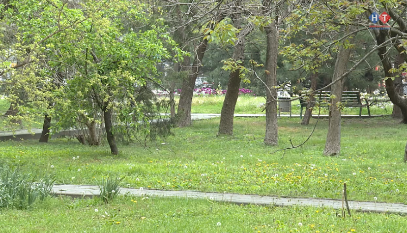 Новороссийцы участвуют в выборе территории для благоустройства в рамках программы &laquo;Формирование комфортной городской среды&raquo;