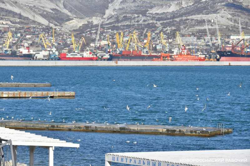 Новороссийск в очередной раз вошел в десятку лучших городов