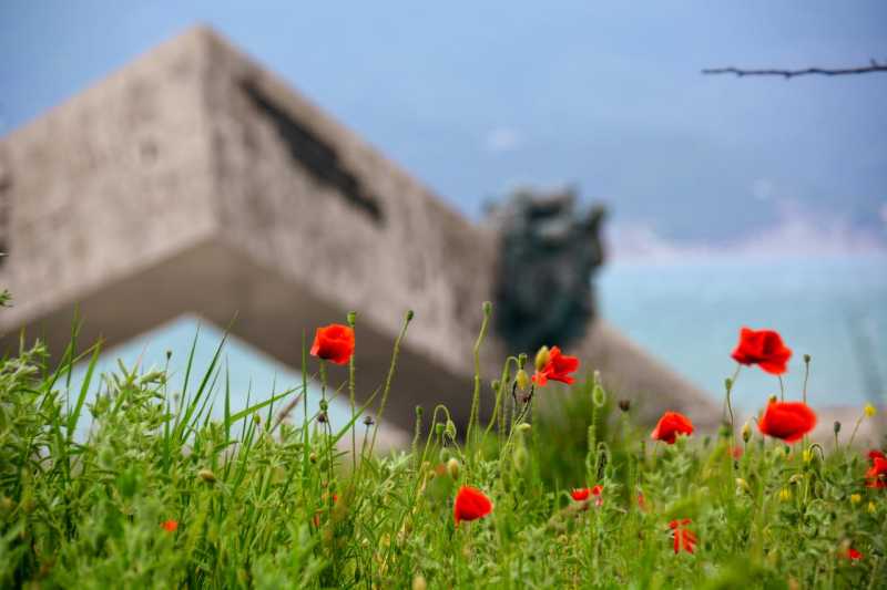 О бактериологическом оружии, гомеопатии и работе из дома: советы дня от &laquo;НР&raquo;