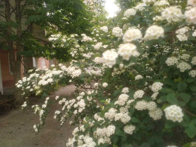 О затонувшем &laquo;Титанике&raquo;, микро-волонтерстве и конкурсе &laquo;Мисс Мира&raquo;: советы дня от &laquo;НР&raquo;