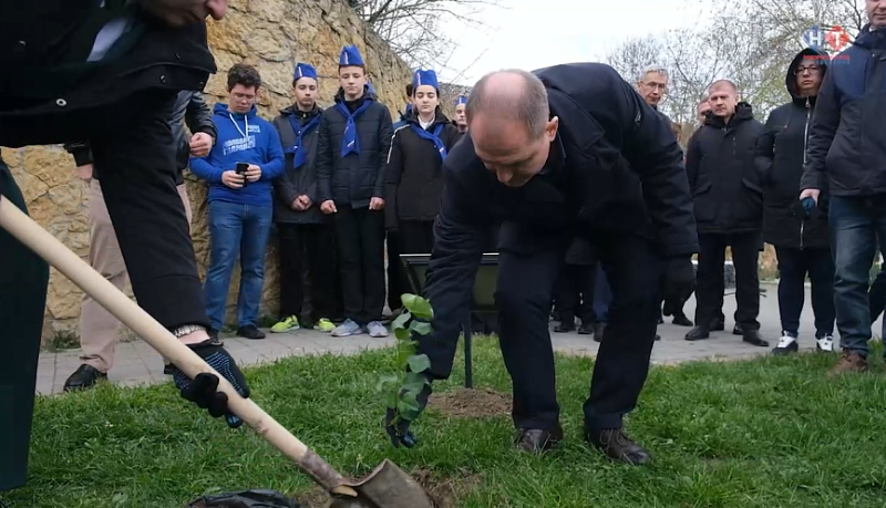 Потомок легендарного сталинградского тополя обрел дом в Новороссийске