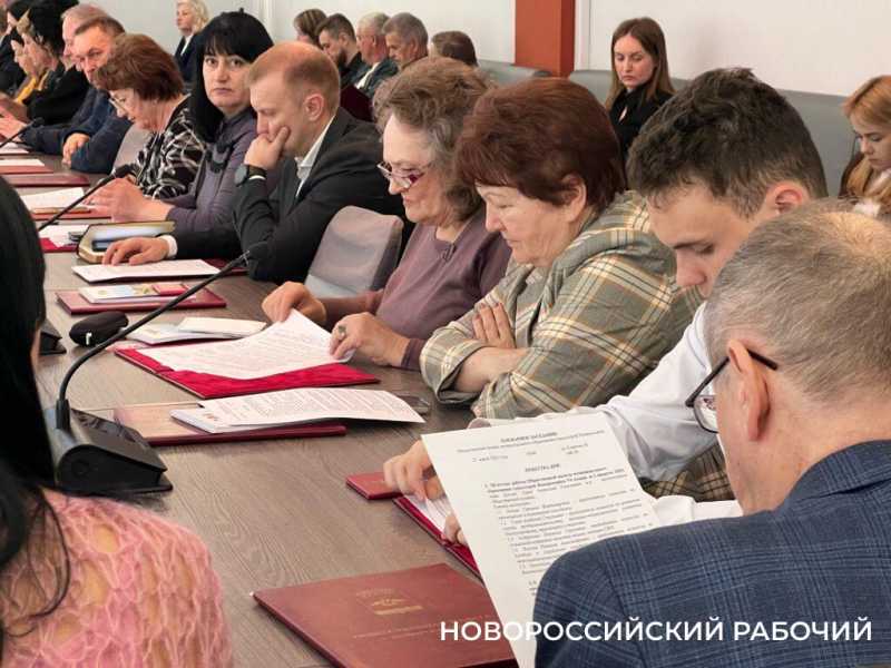 Предложения членов и экспертов Общественной палаты Новороссийска остаются без внимания чиновников