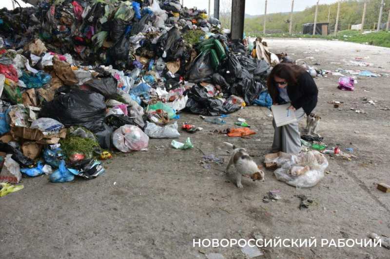 Свалка в Новороссийске будет наполняться еще полтора года. Что потом?