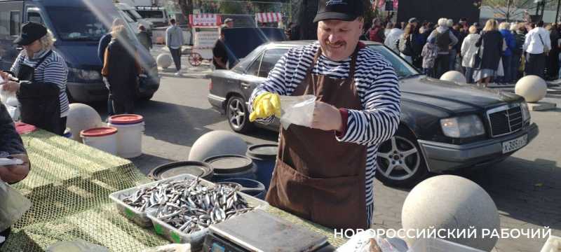 Турция впервые начала покупать хамсу, пойманную в Новороссийске