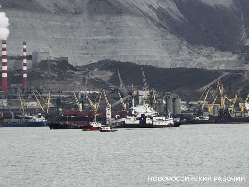 В июне через Новороссийск в страну начнет поступать африканский хлопок