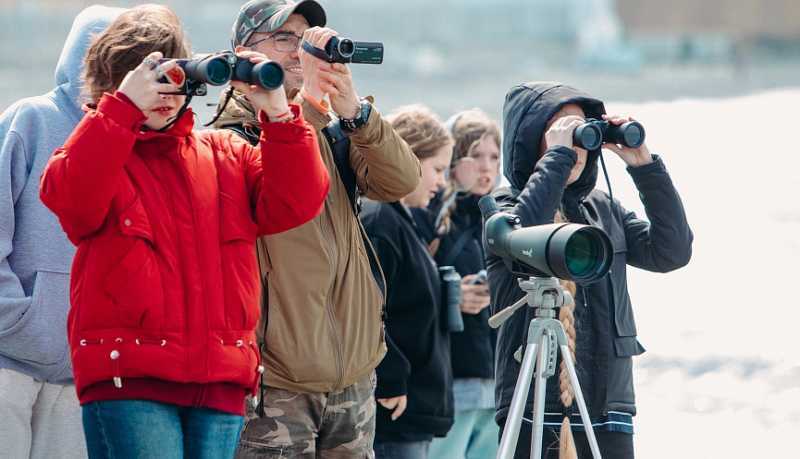 В Международный день птиц подвели итоги V межрегионального орнитологического фестиваля