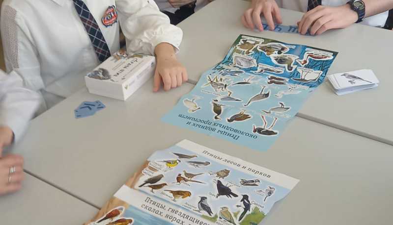 В Международный день птиц подвели итоги V межрегионального орнитологического фестиваля