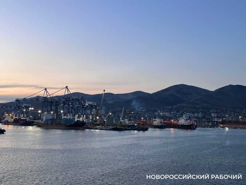 В Новороссийск не пустили импортные апельсины