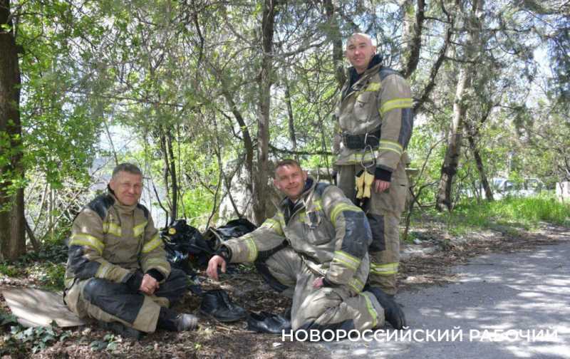 В Новороссийске Гошу на пожаре спасли 10 раз подряд. Прошли соревнования пожарных и спасателей