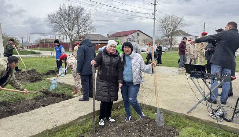 В Новороссийске и станицах посадили деревья в память о героях войны