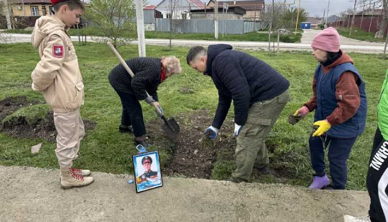 В Новороссийске и станицах посадили деревья в память о героях войны