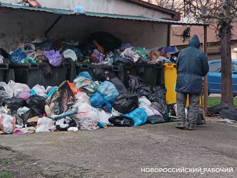 В Новороссийске мусор будет вывозить новый регоператор. Кому платить?