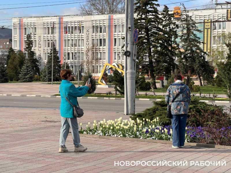 В Новороссийске началось цветение тюльпанов