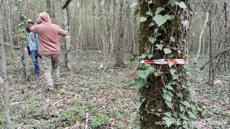 В Новороссийске не будут расширять мусорный полигон за счет леса. Что появится на месте дубов, сосен и орхидей?
