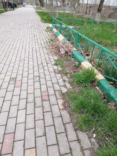 В Новороссийске не могут определиться, кто должен восстанавливать аллею