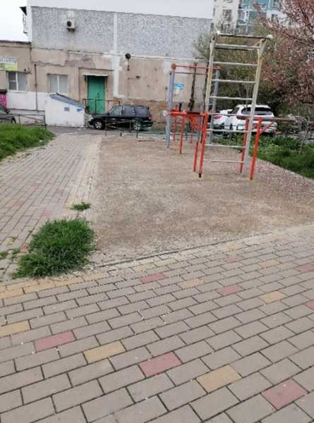 В Новороссийске не могут определиться, кто должен восстанавливать аллею