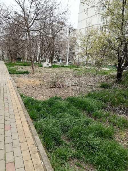 В Новороссийске не могут определиться, кто должен восстанавливать аллею