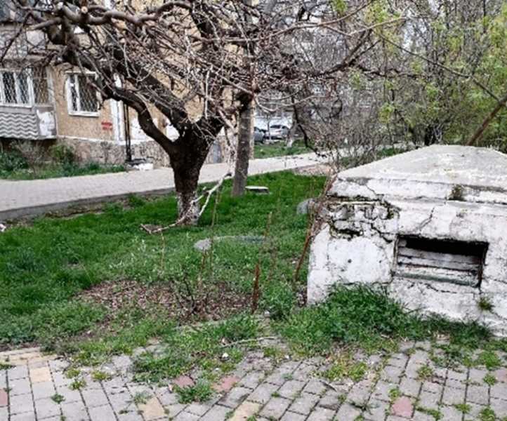 В Новороссийске не могут определиться, кто должен восстанавливать аллею