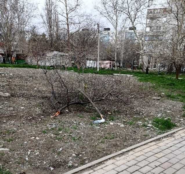 В Новороссийске не могут определиться, кто должен восстанавливать аллею
