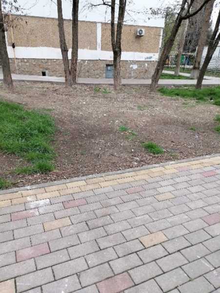 В Новороссийске не могут определиться, кто должен восстанавливать аллею