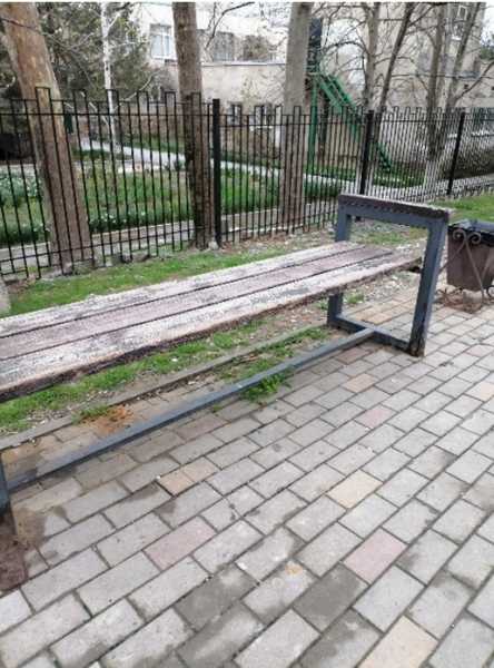 В Новороссийске не могут определиться, кто должен восстанавливать аллею