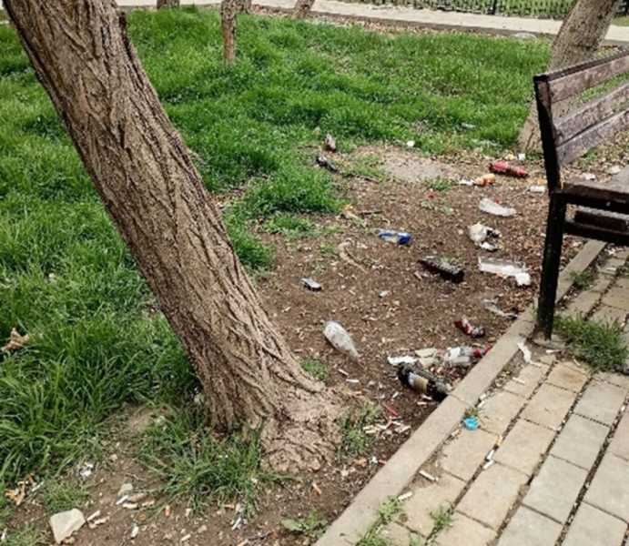 В Новороссийске не могут определиться, кто должен восстанавливать аллею