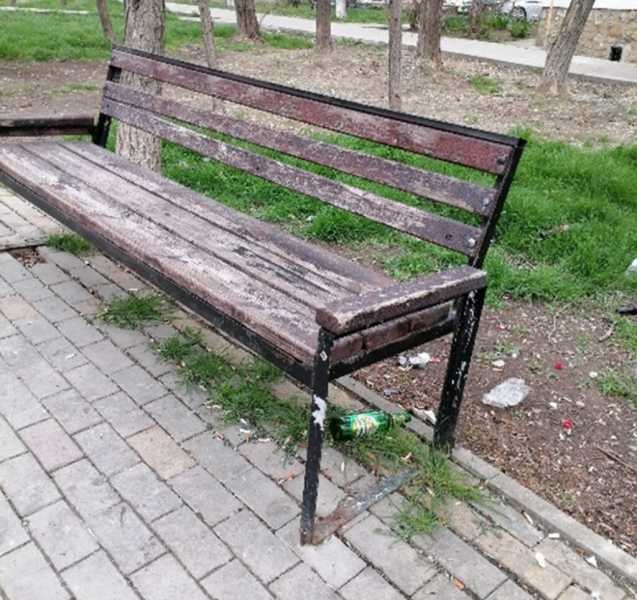 В Новороссийске не могут определиться, кто должен восстанавливать аллею