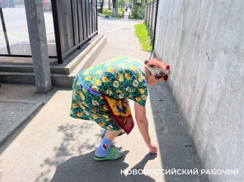 В Новороссийске пенсионерка сажает клумбы, убирает остановки  и чистит ливневки. Чтобы жителям было приятно!