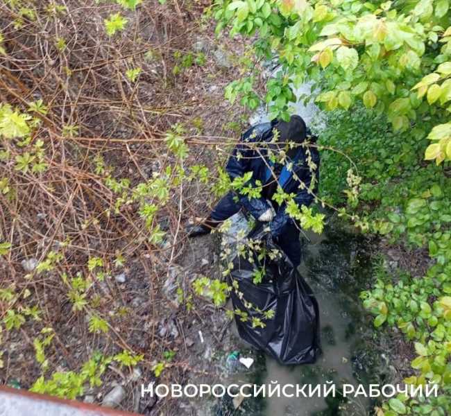 В Новороссийске пенсионерка сажает клумбы, убирает остановки  и чистит ливневки. Чтобы жителям было приятно!