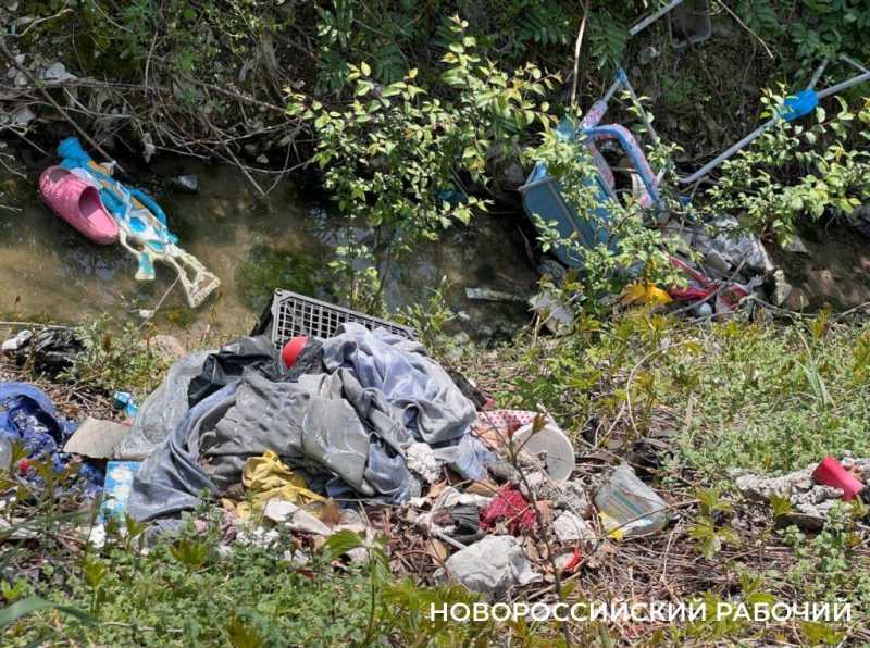 В Новороссийске пенсионерка сажает клумбы, убирает остановки  и чистит ливневки. Чтобы жителям было приятно!