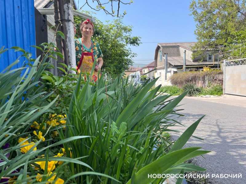В Новороссийске пенсионерка сажает клумбы, убирает остановки  и чистит ливневки. Чтобы жителям было приятно!