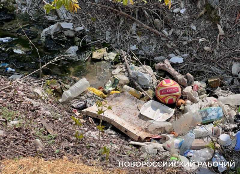 В Новороссийске пенсионерка сажает клумбы, убирает остановки  и чистит ливневки. Чтобы жителям было приятно!