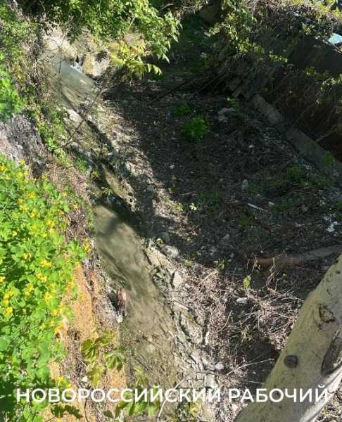 В Новороссийске пенсионерка сажает клумбы, убирает остановки  и чистит ливневки. Чтобы жителям было приятно!