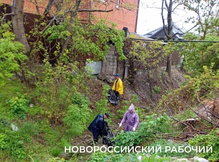 В Новороссийске пенсионерка сажает клумбы, убирает остановки  и чистит ливневки. Чтобы жителям было приятно!